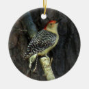 Search for woodpecker christmas tree decorations Nature
