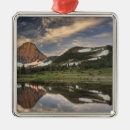 Search for adams christmas tree decorations Mountain