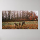 Search for deer posters Trees