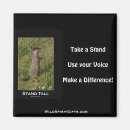 Search for marmot magnets Nature