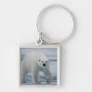 Search for ursus key rings Fauna