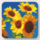 Search for powerful coasters For her