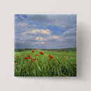 Search for red poppies badges Green