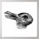 Search for rabbit posters Cartoon