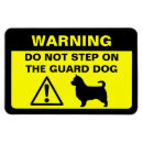 Search for long magnets Joke