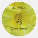 Search for daylily stickers Floral
