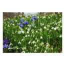 Search for early spring art Floral