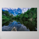 Search for amazon jungle posters River