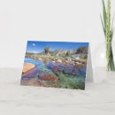 Search for paulson cards Garnet lake