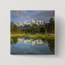 Search for meadow badges Blue