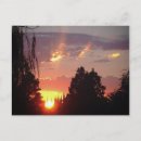 Search for orange sky postcards Colourful