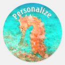 Search for carribean stickers Tropical