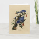 Search for james cards Illustration