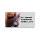Search for gray background return address labels Cute