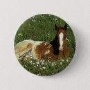 Search for lying down badges Horse