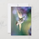 Search for hummingbird thank you cards Wildlife