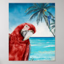 Search for parrot posters Macaw