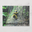 Search for bumblebee postcards Yellow