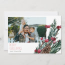 Search for berry christmas cards Winter