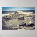 Search for madison art Photography