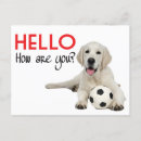 Search for yellow labrador retriever postcards Thinking of you
