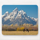 Search for grass mousepads Autumn