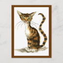 Search for tabby postcards Funny