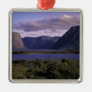 Search for brook christmas tree decorations North america