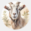 Search for goat head stickers Mammal