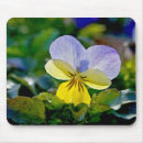 Search for yellow pansy electronics Floral