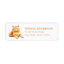 Search for tabby cat return address labels Kitten