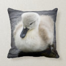 Search for baby swan cushions Bird