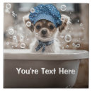 Search for bathing tiles Cute