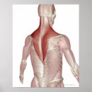 Search for part human posters Illustration technique