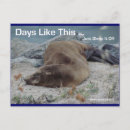 Search for hangover postcards Feel better