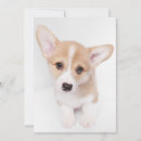 Search for corgi thank you cards Puppy