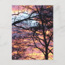 Search for rising sun postcards Sunrise
