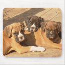 Search for trio mousepads Dogs