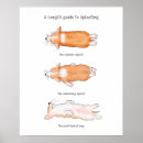 Search for corgi posters Cute