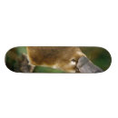 Search for furry skateboards Animal