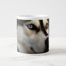 Search for husky mugs Animal