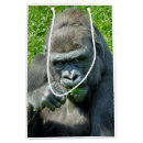 Search for primate photography Gorilla