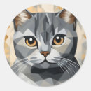 Search for british shorthair cat stickers Pet