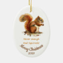 Search for squirrel christmas tree decorations Humour