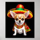 Search for sombrero art Chihuahua