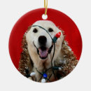 Search for yellow lab christmas tree decorations Xmas