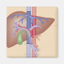 Search for procedure magnets Medical
