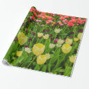 Search for glossy wrapping paper Nature