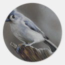 Search for tufted stickers Wildlife