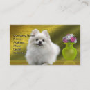 Search for toy business cards Canine
